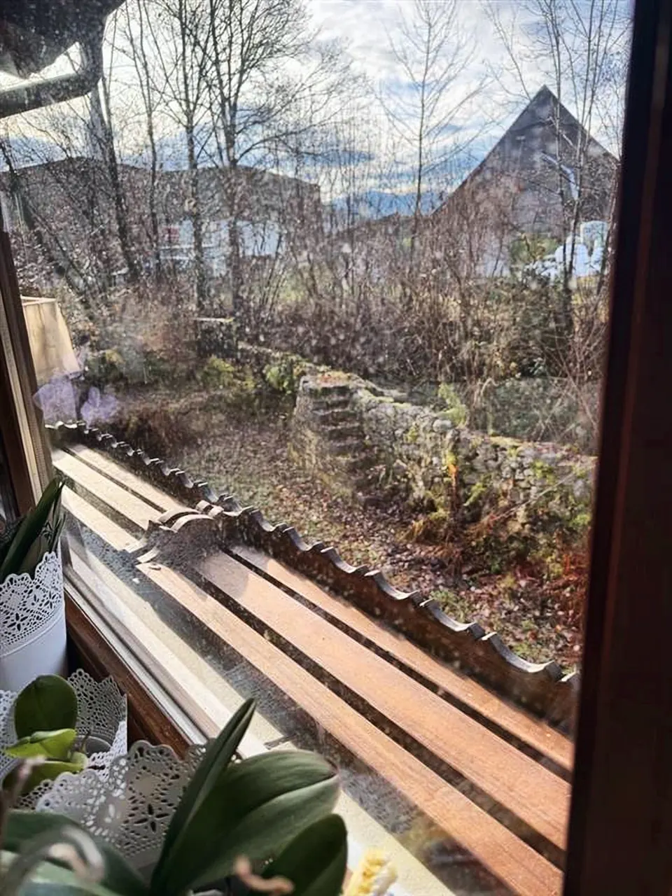 Blick durch ein Fenster in einen Garten