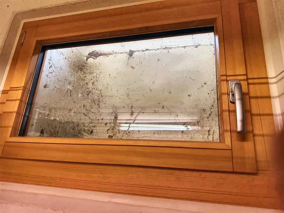 Holzfenster mit Staub und Spinnweben auf dem Glas