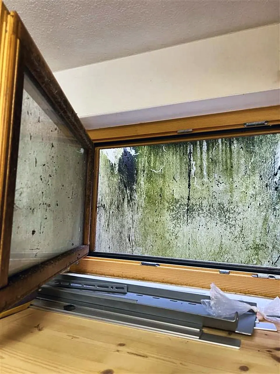 Stark verschmutztes Fenster zu einem Lichtschacht mit Algen und Moos