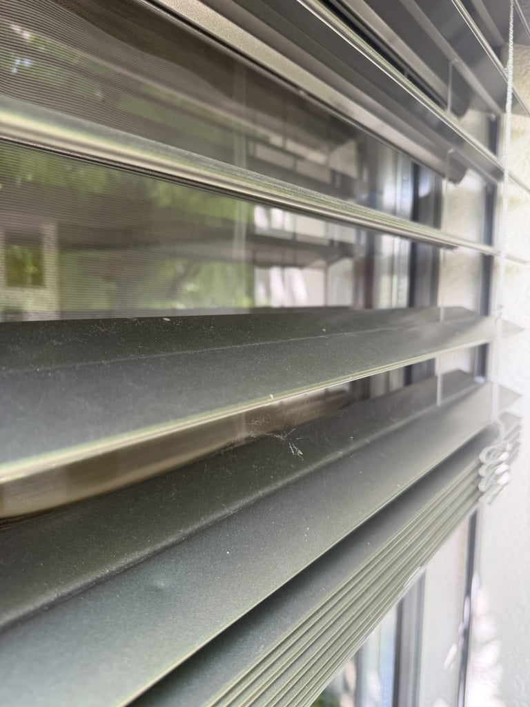 Close-up of horizontal window blinds or venetian blinds showing slats and metallic frames with reflection