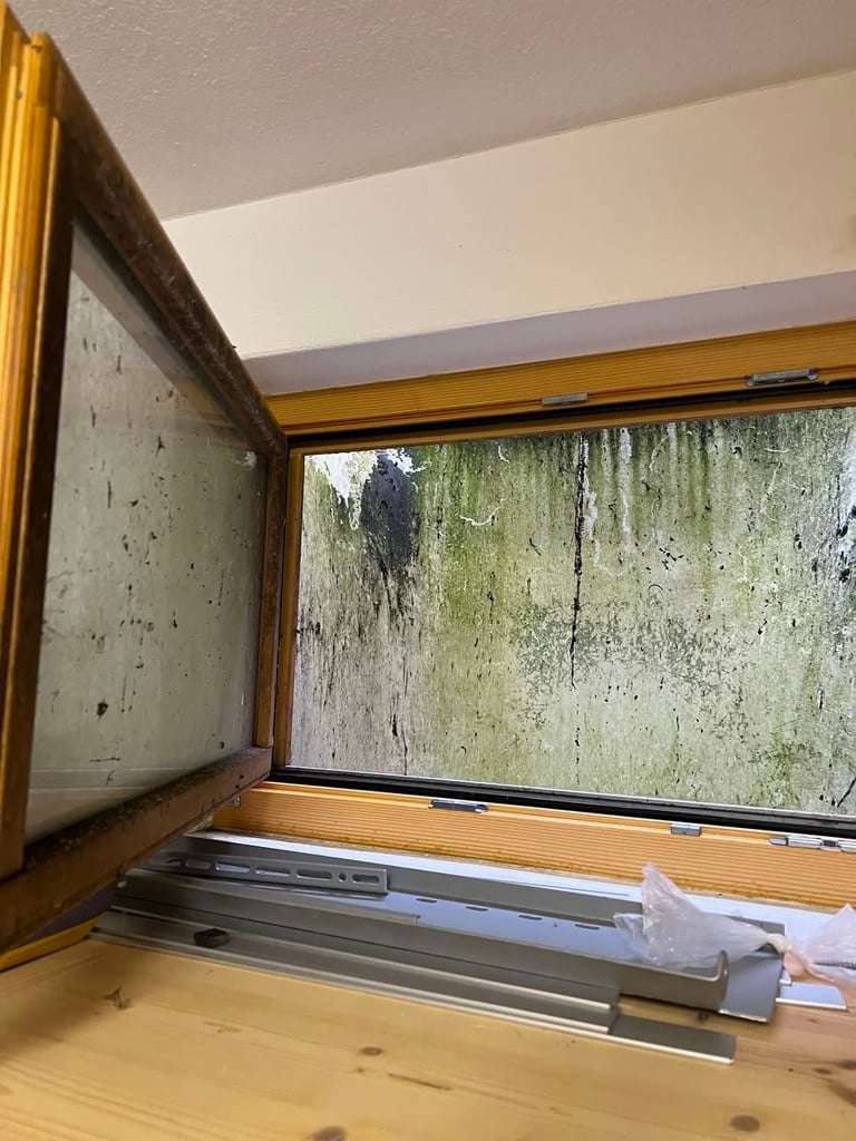 Open wooden window frame showing weathered glass pane with green moss and mold stains, metal components visible at base